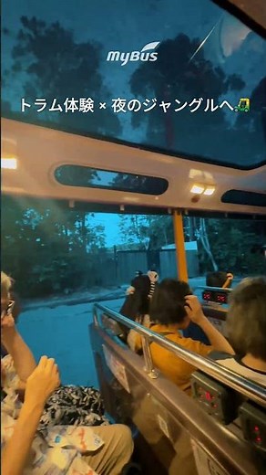 夜に出会う動物たち｜シンガポール ナイトサファリ体験 #shorts #singapore ＃シンガポール #旅行