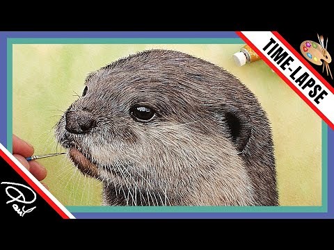 Watercolour Step by Step - How To Paint an Otter - Speed Painting