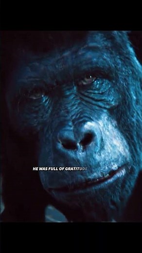 Rise of the Planet of the Apes: The Power - Seizing Journey of an Orangutan #youtubeshorts