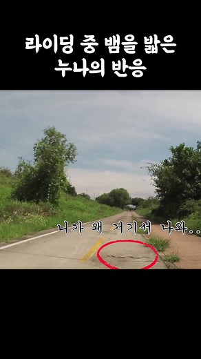 라이딩 중 뱀을 밟은 누나의 반응 #로드자전거 #자전거라이딩 #자전거 #자전거타는여자 #솔로라이딩 #로드타는여자 #시흥따릉이 #새흥따ing##cycling#roadbike #cycle #roadcycling #cyclinggirl #自行车 #自行车骑行 #自転車 #Bicicleta #จักรยาน #xe đạp #vélo #Fahrräder
