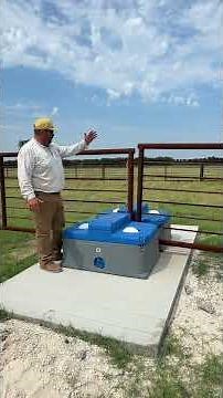 Big Mini Feedlot Update! #feedlot #cattle #ranch #ranching