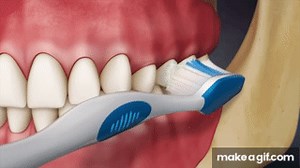 Tooth Brushing- Modified Bass Technique on Make a GIF