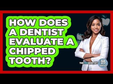 How Does a Dentist Evaluate a Chipped Tooth?