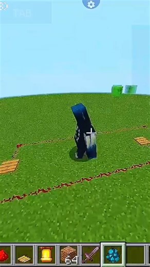 woaden trap tips Minecraft #minecraft #mrbeast