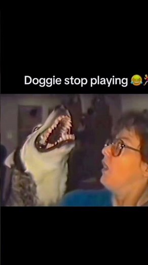 When Your Dog Starts Acting Sus 🐶👻 #Shorts​ | Funniest Comment Section Reactions 😂