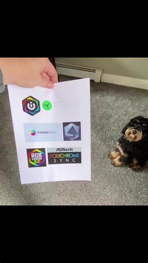 1.3K views | Toby prefers using SignalRGB, be like Toby and uninstall all those extra RGB apps. #signalrgb #rgblights #rgbpc #rgbsetup #rgblighting #rgbkeyboard #pcgaming #pcsetup #pcbuild #pcmr | SignalRGB | Facebook