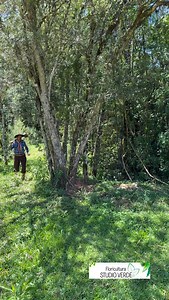 Aqui não tico tico 😂😂😂 | Elienai Duarte