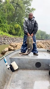 481K views · 7.8K reactions | A couple more nice ones on vertical...