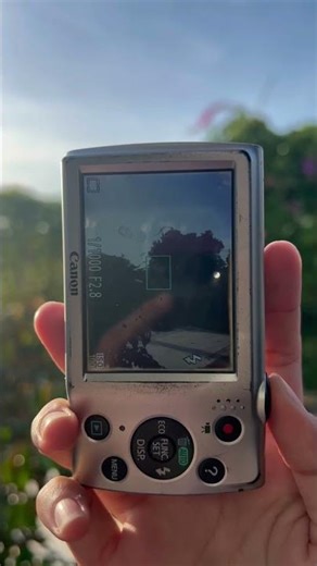 Canon PowerShot A2500 (note: took this pictures with no flash ✨)