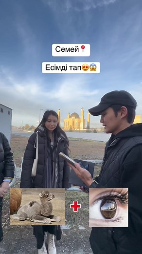 Barakat Perfume Recommendations in Semey