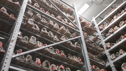 Join us, as Insider Business takes you on an exclusive tour of our operations at Pat Lafrieda Meat Purveyors. Discover the passion, dedication, and commitment to quality that goes into every cut of meat we deliver. This is the heart and soul of our business, and we're thrilled to share it with you. #PatLafrieda #QualityMeats #behindthescenes | Pat LaFrieda Wholesale Meat Purveyors