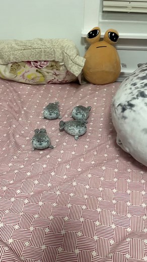 #seal #sealplush #pou #pouplush #fyp | seal plush