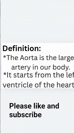 Branches of Aorta🫀|easy Anatomy|#BPT#MBBS|#nursing