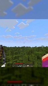 Fishing Rod Teleport Tutorial #minecraft | Riss