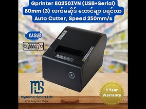 How to install Gprinter 80250 Receipt Printer in Windows 11