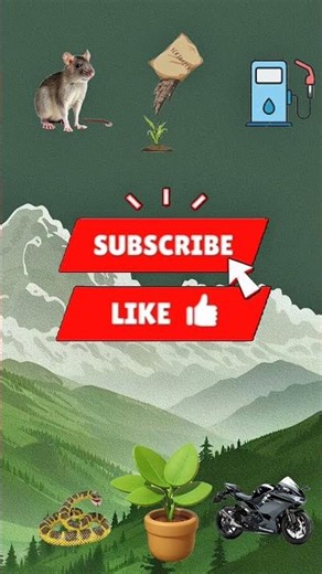 tikus untuk.??#cartoon #shorts #funny #animation #games #comedy #fyp #viralvideo