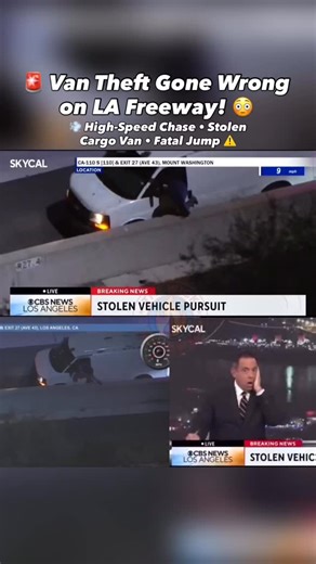 29K views |  Caught on camera — LA chase turns deadly  A dramatic...