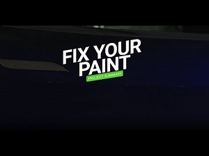 How to Easily Fix Paint Chips & Nicks on Your Car with Pen Essential Kit