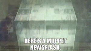 Here's a Muppet newsflash.