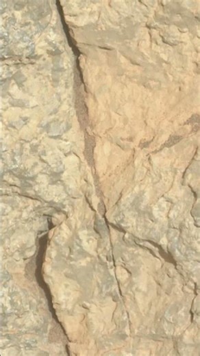 Sol 1,792: The photo that took 18 minutes just to reach Earth 📡🤯