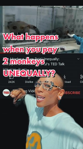 The Impact of Unequal Pay on Capuchin Monkeys