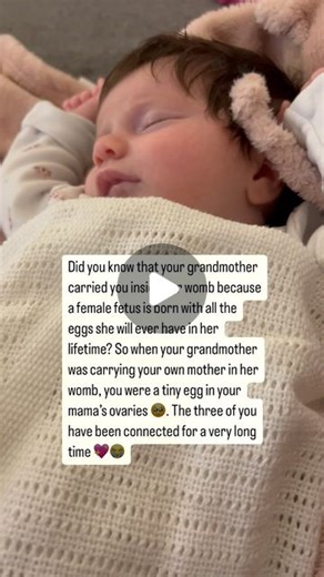 Vicki Broadbent on Instagram: "Did you know that your grandmother carried you inside her womb because a female fetus is born with all the eggs she will ever have in her lifetime? So when your grandmother was carrying your own mother in her womb, you were a tiny egg in your mama’s ovaries 🥹. The three of you have been connected for a very long time 💖. Follow for more @honestmum #newborn #babygirl #beingamom #motherhood #parenting #momtomom #grandmother"