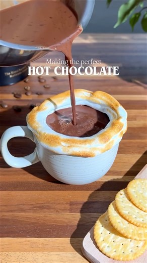 Coffee Recipes & more on Instagram: "Perfect Hot Chocolate 😍🍫 Full Recipe 👇🏽 US only: If you want to try some really special coffee that’s been grown on a volcano (A real volcano! 😮) and which has an amazing flavor profile: Try @beanoffire 🤎 Highly recommend their Kenyan variety! Recipe: - add to a pot: * 250 ml/ 8 oz of your milk if choice - bring up to heat (not boil) than add: * 250 g of your favorite chocolate (I mixed 3 types) * 1 fresh vanilla bean (scarpe it.) * 1 cinnamon stick * f