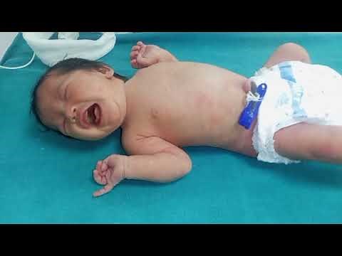 Help! My Newborn Is Crying From Hunger: A Real-Life Bottle Feeding Journey