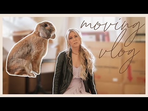 Moving with a Rabbit