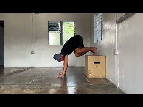 PIKE L-HS SCAPULA PUSH UP TUTORIAL