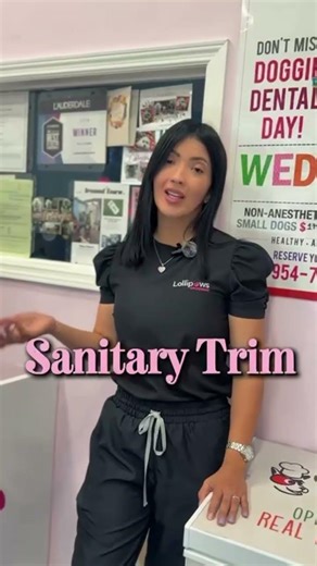 Why Your Dog Needs a Sanitary Trim (Most Owners Don’t Know This!