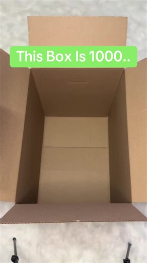 Explore the Richness of Our Collection! | Mini Brands Collection