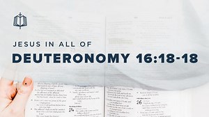 Deuteronomy 16:18-22, chapters 17-18