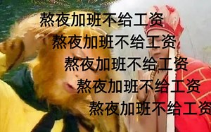 原著唐僧和孙悟空的邂逅为什么并不美好？