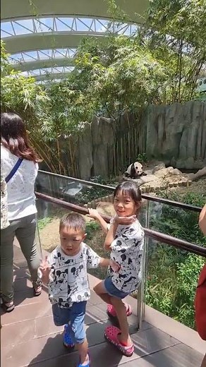 River Safari | Panda | Singapore