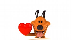 狗 宠物 动物 - Free video on Pixabay