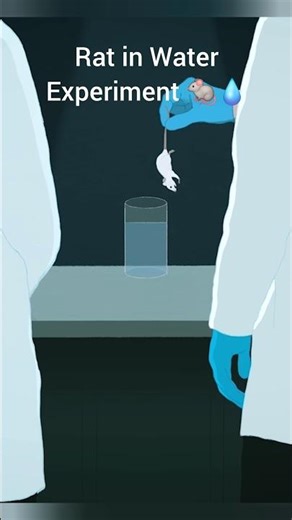 Scientists Dropped a Rat in Water… What Happened Next is Crazy