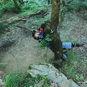 22M views · 76K reactions | Throwback to some of the best saves we saw in 2020  From Tarzan swings to ankle breaking cases, we still can't work how these didn't go worse... Watch them all  https://pinkbike.link/saves2020 | Pinkbike | Facebook