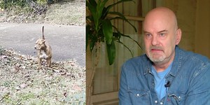 Dog attack victim speaks out after months of ‘being terrorized’