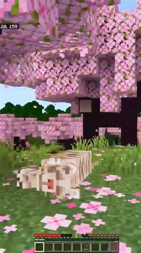 This tiger from the naturalist, 2.0 mod in Minecraft. ￼#peace #minecraftshort#minecraft