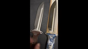 BUSSE TGLB和TGULB对比观赏找不同