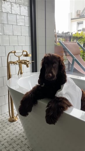 Hotel La Fantaisie ✯✯✯✯✯ on Instagram: "Our best wishes for 2026, from La Fantaisie, with love! ✨"