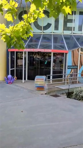 1.9K views | This isn't a wheel for hamsters - it's one of the many...