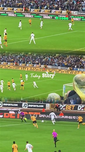 view from SW1/SW2 seats @Molineux stadium 🏟 wolves #premierleague #music