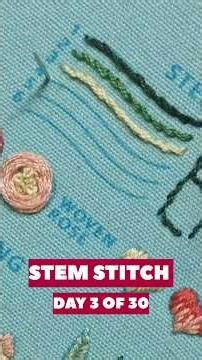 Day 3/30: Stem stitch #youtubeshorts #embroidery #stemstitch