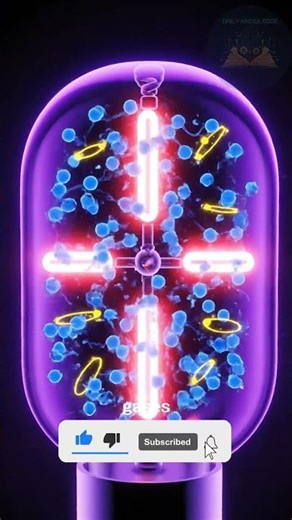 Daily Knowledge | Why do neon lights come in different colors?
