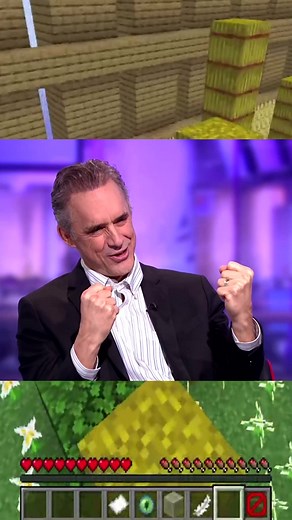True story on how Jordan Peterson was born #jokes #theboys #minecraft #funny