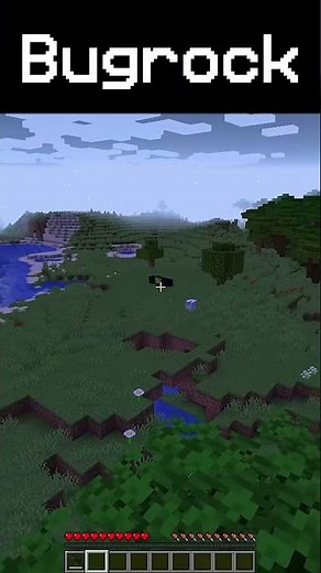 Squelettes JAVA vs BEDROCK 💀😭 #minecraft #minecraftshorts