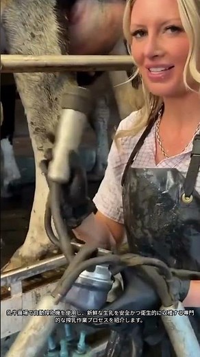 現代の酪農を支える効率的な自動搾乳プロセス #dairy farming #agriculture #milking machine #livestock