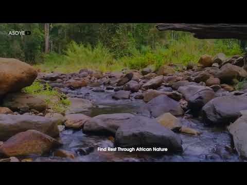 Peaceful Hymns with Calming Nature Sounds | 10 Hours Relaxation Music